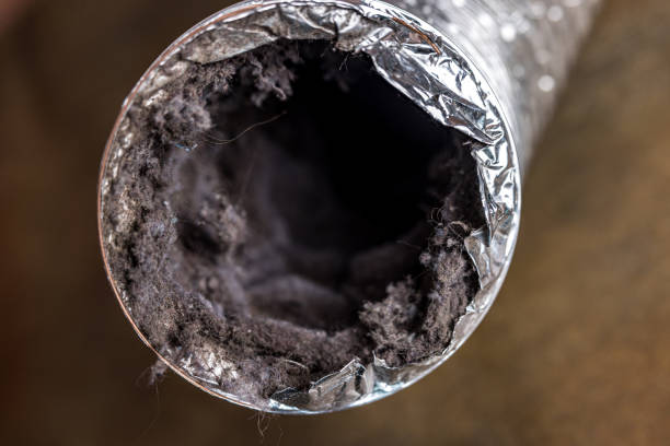 Best Air Duct Cleaning Near Me  in Point Clear, AL